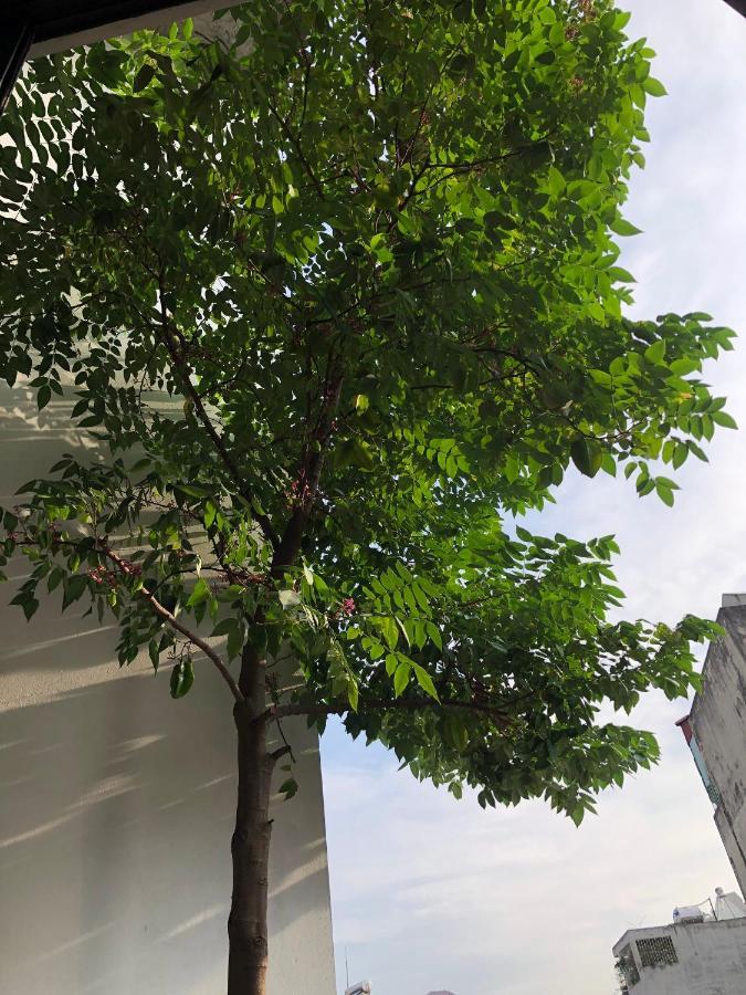 Crin House Tay Ho Lejlighed Hanoi Eksteriør billede
